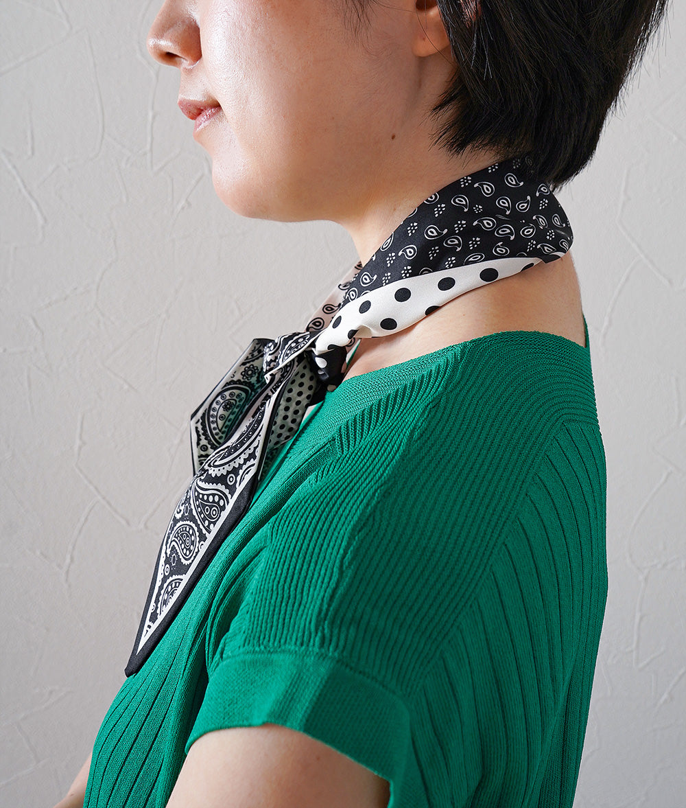 Dot and Paisley Reversible Scarf