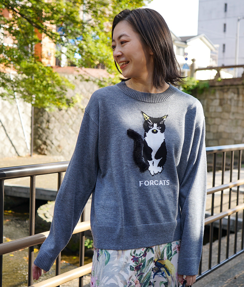 A must-see for fashionistas! cat knit