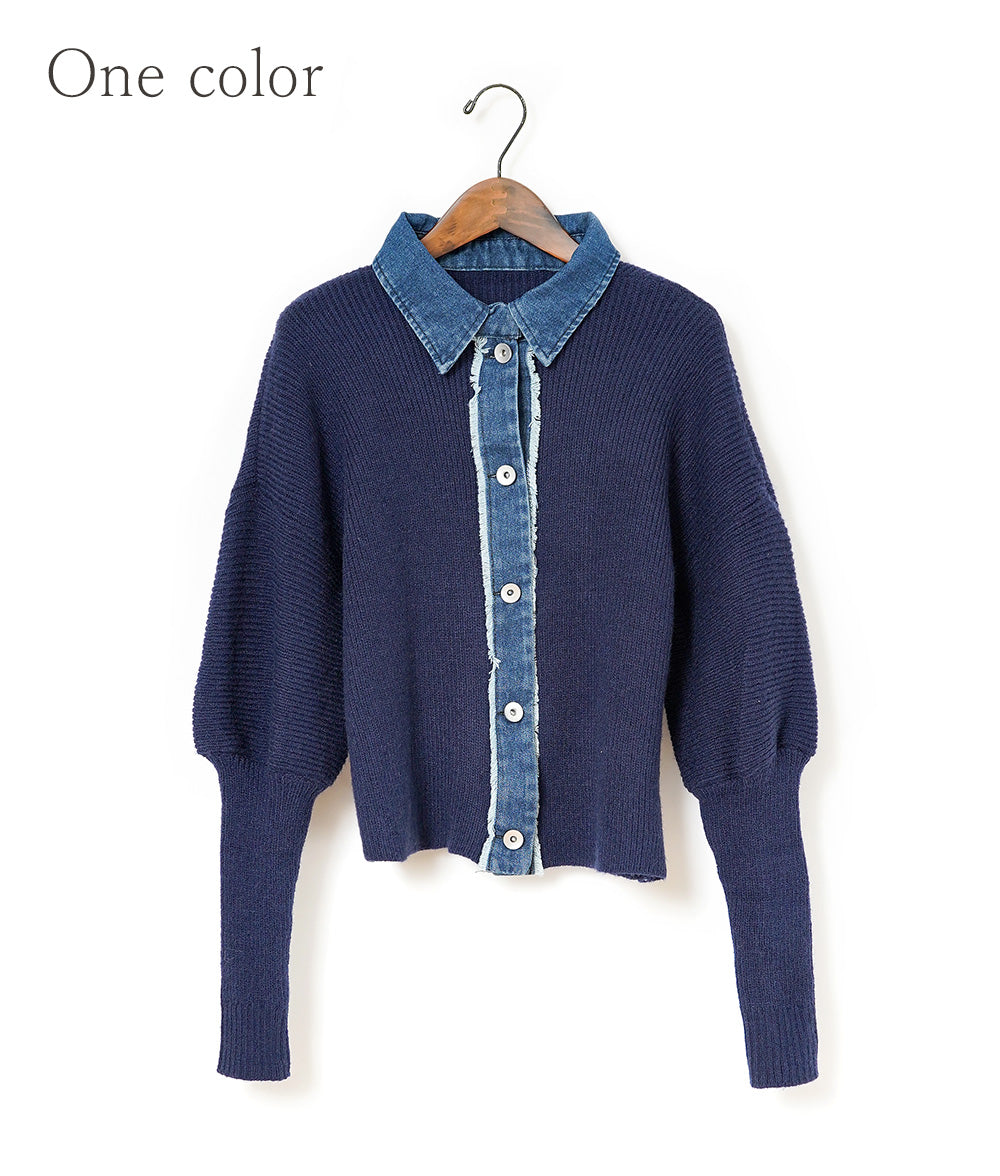 Denim & Pointy sleeve knit