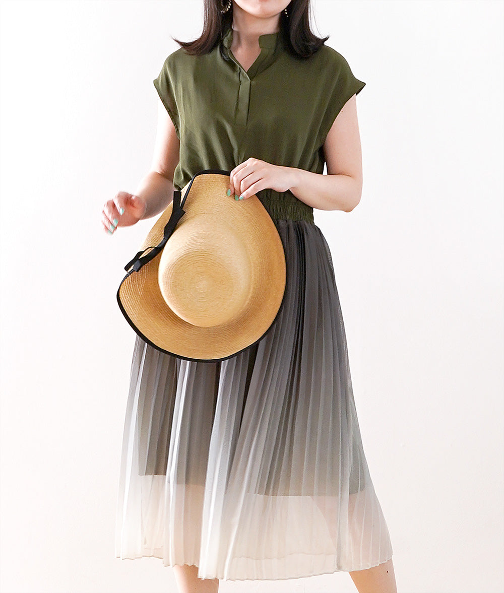 Elegant and delicate pleated gradation dress