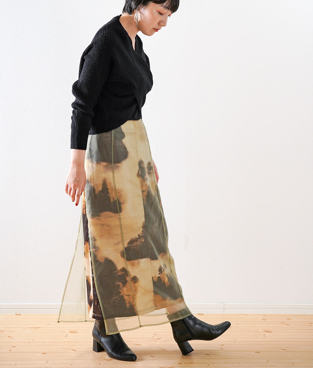 Nostalgic Impressionist Organdy Layered Skirt