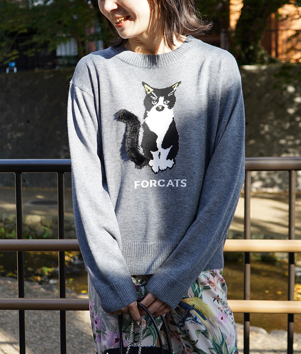 A must-see for fashionistas! cat knit